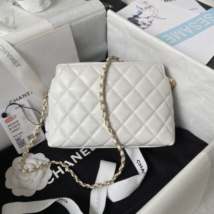 Chanel 23A Golden Little Lion Chain Bag AP3429. Top Quality   Size: 19 * 13 * 8cm