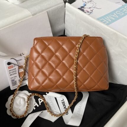Chanel 23A Golden Little Lion Chain Bag AP3429. Top Quality   Size: 19 * 13 * 8cm