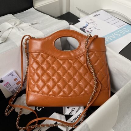 Chanel 23A mini 31 bag AS4133. top quality  Size: 22 * 23 * 5.5cm